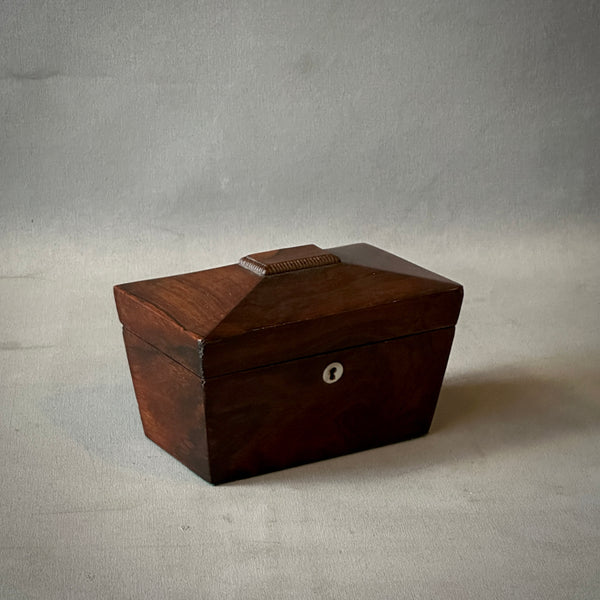 Georgian Rosewood Sarcophagus Tea Caddy Box