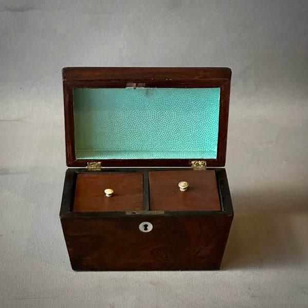 Georgian Rosewood Sarcophagus Tea Caddy Box